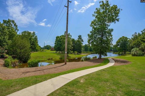 A home in Chapin