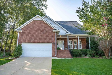 A home in Chapin