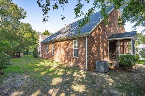 A home in Chapin