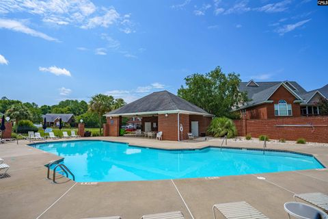 A home in Chapin