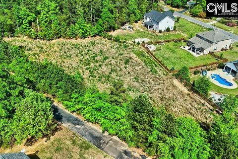 109 Carrituck Court Chapin Sc 29036