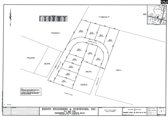 3494 W RAILROAD AVE, BAMBERG, SC 29003 - Image 43cf1cdd89eea4efa104b41d2eca4575/340441496