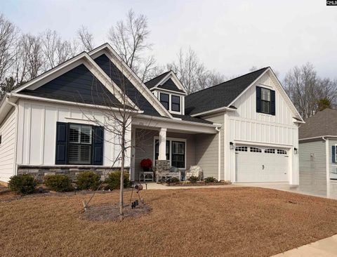 Photo of 276 Murray Falls Lane, Chapin, SC 29036 (MLS # 624172)