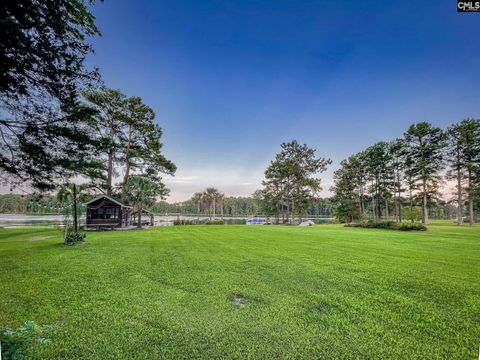 A home in Chapin