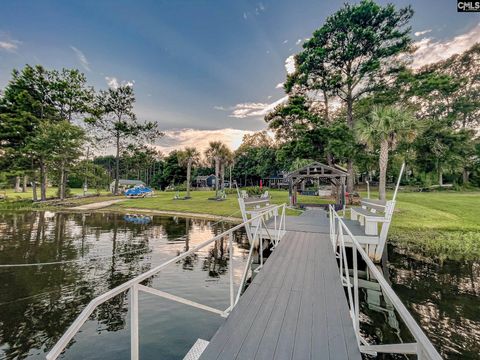 A home in Chapin