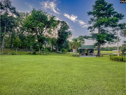 A home in Chapin