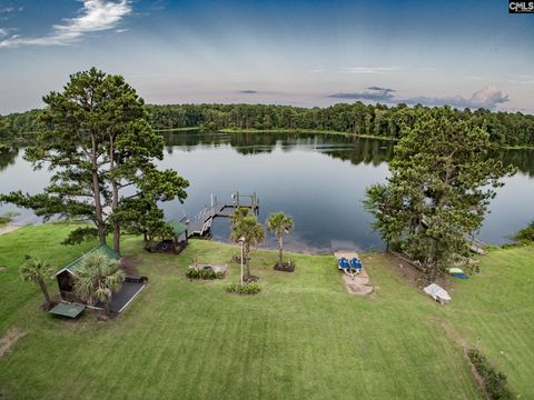 A home in Chapin