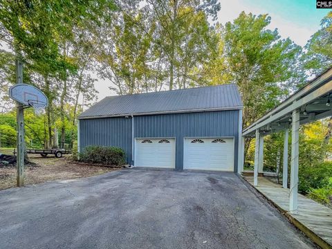 A home in Chapin