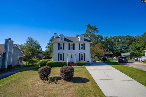 A home in West Columbia