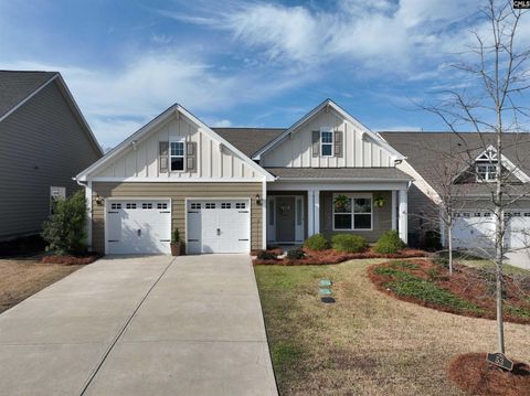 Photo of 53 Starry Night Court, Chapin, SC 29036 (MLS # 628955)