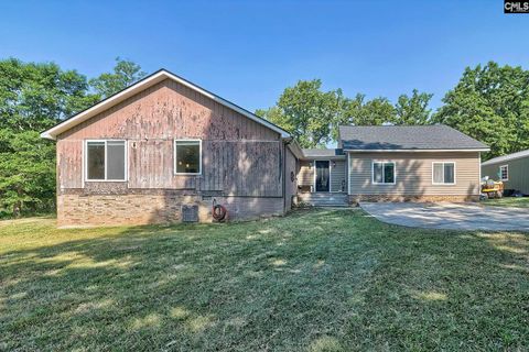 Photo of 130 Stoneridge Road, Chapin, SC 29036 (MLS # 633684)