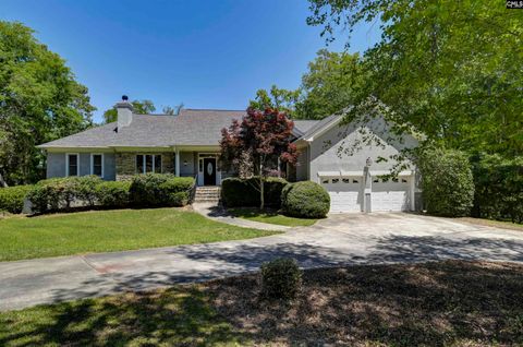 Photo of 511 Woodline Road, Chapin, SC 29036 (MLS # 634179)