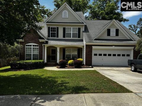 Photo of 234 Winterberry Loop, Lexington, SC 29072 (MLS # 633857)