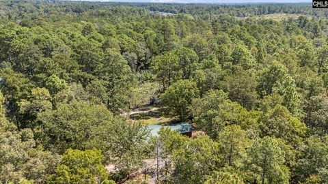 Photo of 121 Coral Court, Lexington, SC 29073 (MLS # 621913)