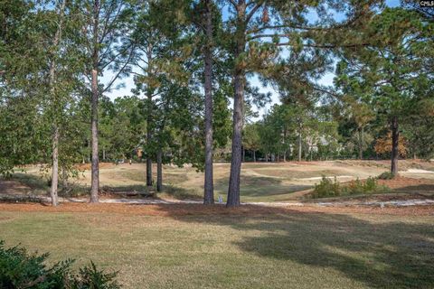 A home in Blythewood