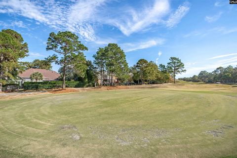 A home in Blythewood