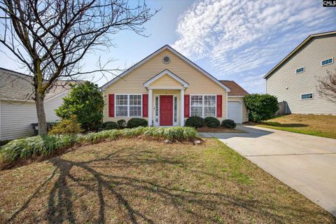 233 Riglaw Circle Lexington Sc 29073