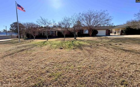 Photo of 6511 Augusta Hwy Hwy, Leesville, SC 29070 (MLS # 626807)