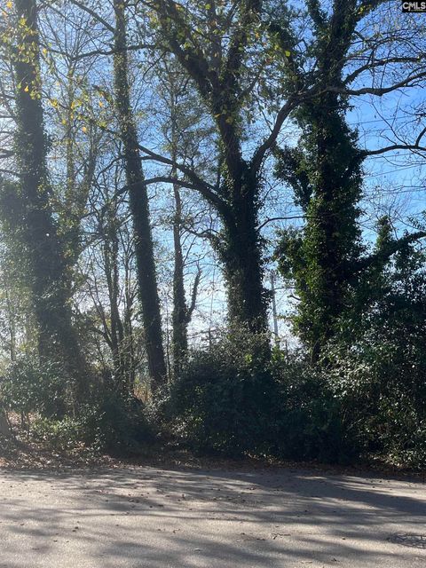 62 Riverview Court Columbia Sc 29201