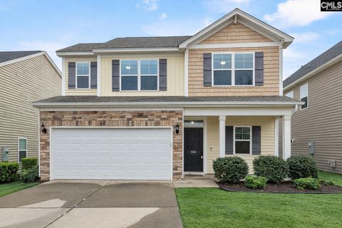 Photo of 260 Liberty Ridge Drive, Elgin, SC 29045 (MLS # 626235)