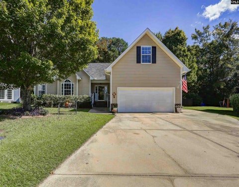 Photo of 604 Sea Doo Drive, Chapin, SC 29036 (MLS # 645945)