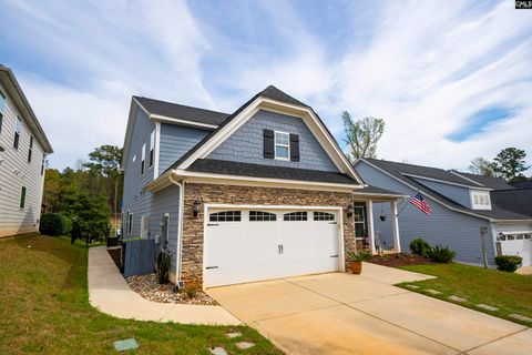 Photo of 256 Laurelbrook Drive, Chapin, SC 29036 (MLS # 629225)