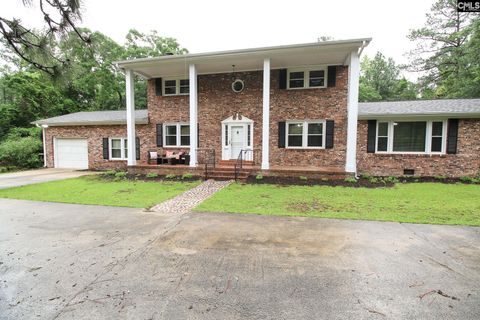 Photo of 164 Morgan Drive, Lexington, SC 29072 (MLS # 628500)