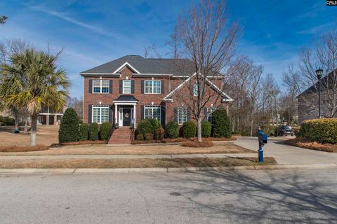 Photo of 505 Fairwind Drive, Chapin, SC 29036 (MLS # 626136)
