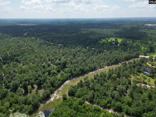 196 HOUND HOLLOW RD, CAMDEN, SC 29020 - Image 4c5454e8a2b65d770c9fa130c592b53b/2418022169