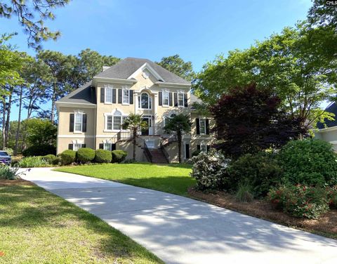 81 Cowdray Park Columbia SC 29223