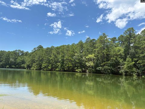 Photo of 165 Harbor Point Drive, Jenkinsville, SC 29065 (MLS # 617735)