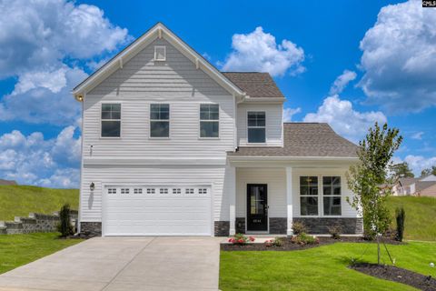 Photo of 327 Granny's Cut Way, Chapin, SC 29036 (MLS # 630572)