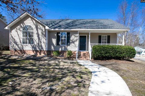 Photo of 125 Northshore Drive, Chapin, SC 29036 (MLS # 627500)