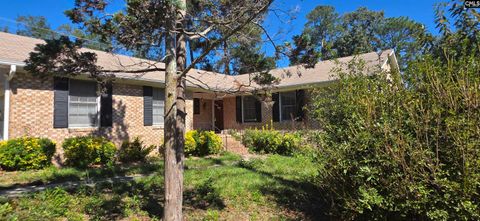 Photo of 301 Stonegate Drive, Columbia, SC 29223 (MLS # 621151)