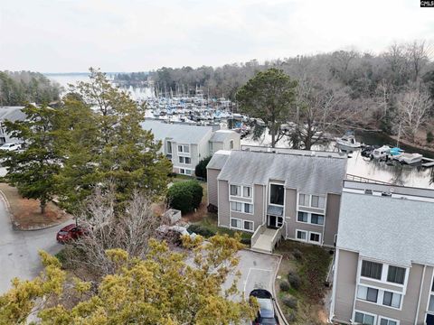 Photo of 238 Shoreline Drive, Columbia, SC 29212 (MLS # 624681)