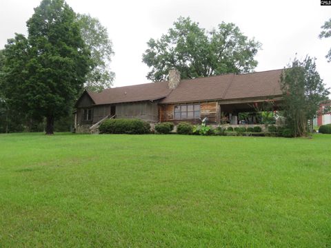Photo of 228 Shady Springs Road, Prosperity, SC 29127 (MLS # 618813)
