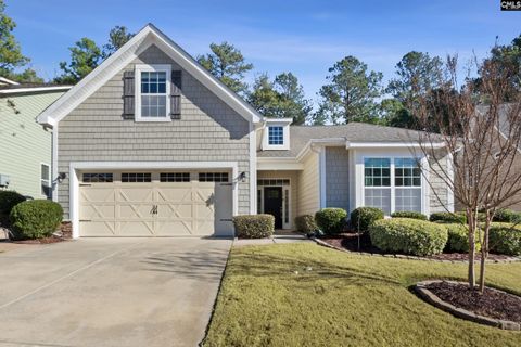 Photo of 383 Summersweet Court, Blythewood, SC 29016 (MLS # 623710)