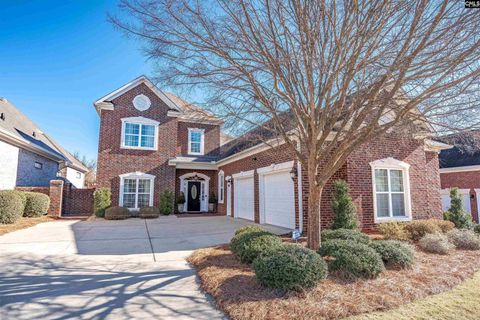 Photo of 317 Whiskery Lane, Irmo, SC 29063 (MLS # 625099)