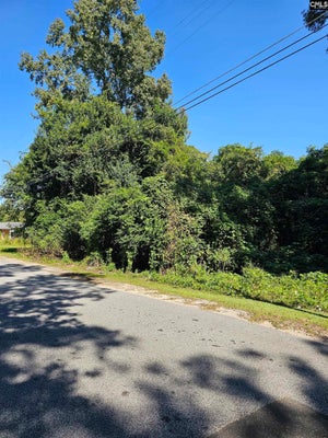 14 COLLINS ST, MANNING, SC 29102 - Image 4ef8bc3bede070699010c8ab06bd987e/767368571
