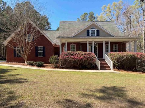 Photo of 852 Indian Fork Road, Chapin, SC 29036 (MLS # 629802)