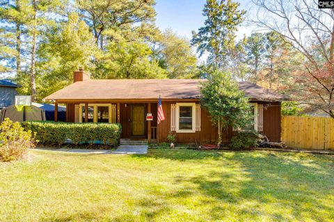 Photo of 141 Chaunticleer Road, Columbia, SC 29223 (MLS # 621131)