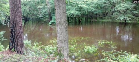 Photo of 474 Shot's Trl Road, Branchville, SC 29432 (MLS # 631583)