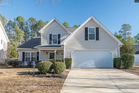 Photo of 171 Elm Creek Drive, Chapin, SC 29036 (MLS # 622592)