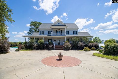 A home in Chapin