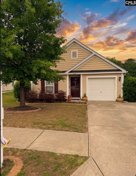 Photo of 244 Richmond Farm Circle, Lexington, SC 29072 (MLS # 633859)
