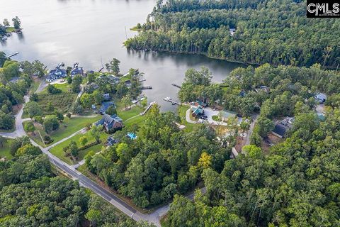 Green Meadow Drive Chapin SC 29036