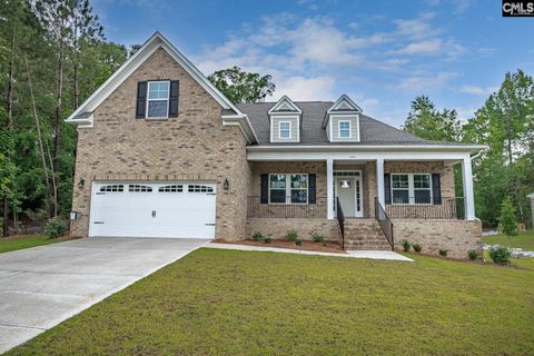 A home in Chapin