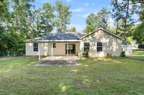 A home in Chapin