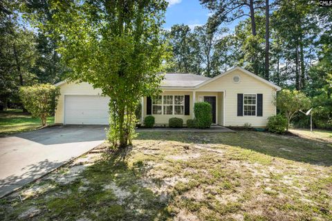 A home in Chapin