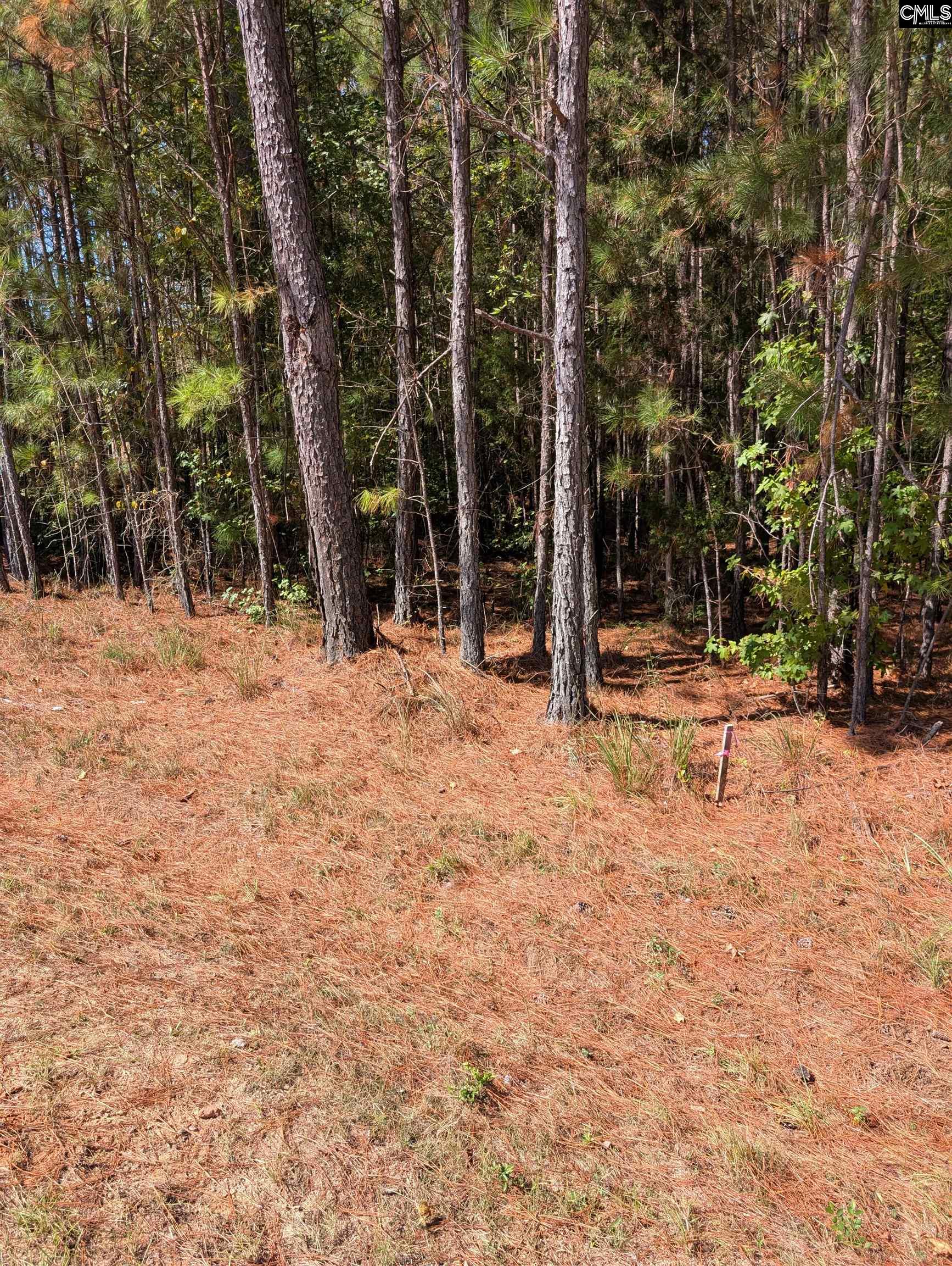 Winnsboro, South Carolina 29180, United States, ,Land,Active,226190